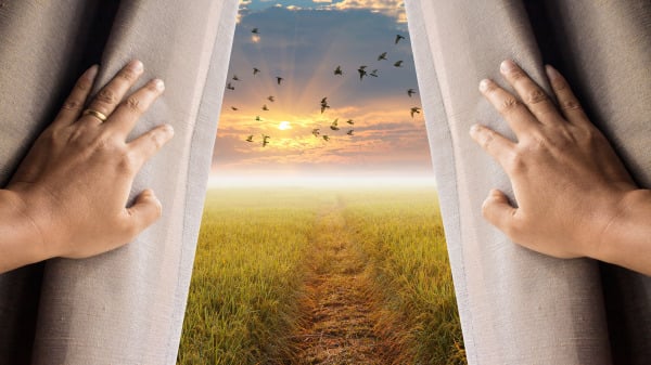 5 Wonderful Laws Are Closely Related to You (Photos) Cause and Effect | Present | Attract | A